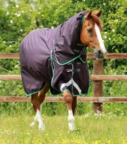 PREMIER EQUINE Buster 200g Turnout Rug with Snug-Fit Neck Cover B